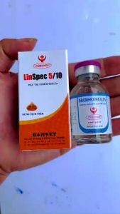 Cặp Hanvet Linspec (20ml) + Bromhen(20ml) Hen khéc kho khè phan xanh phan trắng khơp
