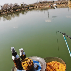 Bingolife Cairan Pemancing Ikan / Essen Mancing / Umpan Ikan  / 60ml/100ml / Galatama Cair / Pemancing Cepat