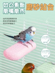 Parrot Standing Pole Toy Bite Resistant Sandblasted Claw Grinding Platform for Parrots Normal Size Pet Bird Supplies Toys