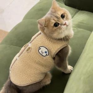 Petone dOrage | Pet Warm Anti-shedding Sweater