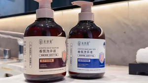 Antibacterial Hand Wash 500ml Pencuci Tangan Antibacteria Kills 99% Long-lasting Fragrance 洗手液