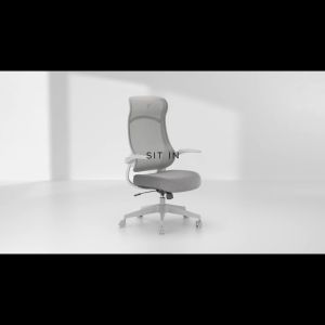 Ergochair Mesh Office Chair Ergonomic Chair Kerusi Pejabat Ofis Study Chair