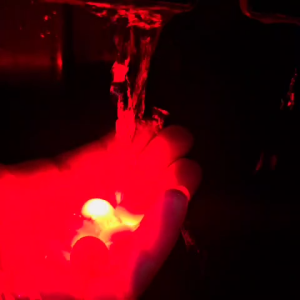 TITANIA [COD]. Batu Viral Merah Delima Bisa Menyala Jika Dimasukkan ke Air. Unik & Ajaib bisa untuk Sulap Gimmick.