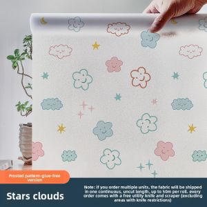 TAISEN | Privacy Anti-peep Translucent Frosted Window Film