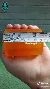 Karet Ban Odong Odong Kuning & Loko Kuning