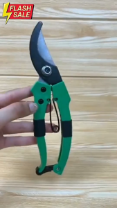 Seraqueda Gunting Dahan Bunga Ranting Bengkok Original Asli Garden Tools