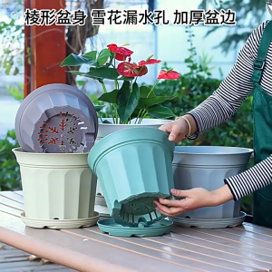 กระถางต้นไม้ทรงกลม กระถางต้นไม้ กระถางพลาสติก วัสดุเกรดพรีเมียม สไตล์มินิมอล มีให้เลือก 3 สี ปากบานเตี้ย