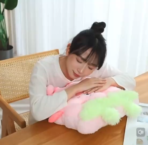 เบาะรองนั่ง รุ่น คุ๊กกี้ขี้เหร่ ใยแน่นนุ่น ฟู นั่งสบาย รับสรีระลดแรงกดทับ น่ารักมีสไตล์