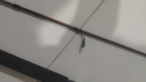 Joran Shimano Cruzar 120/135/150 Line wt 8-16lb