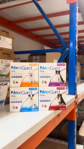NexGard Dog - Viên nhai mềm phòng Ngoại ký sinh (ve rận bọ chét ghẻ) dành cho Chó - 1 Hộp 6 viên