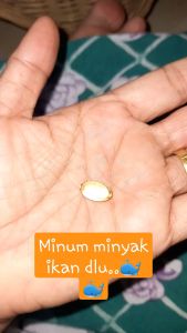 Minyak ikan untuk kucing fish oil liver vitamin meningkatkan nafsu makan kitten pelebat bulu dan menyehatkan kucing isi 50 kapsul