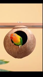 Coconut Shell Bird Nest: A Natural Habitat for Love Birds & Cockatiel Parakeets