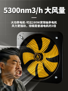 Indoor Air Circulation Quiet Powerful Bidirectional Exhaust Fan Room Ventilator Double Directional Flow Fresh Air