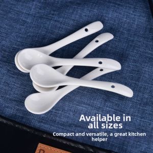 TEKANAI | Ceramic Small Salt Control Seasoning Spoon