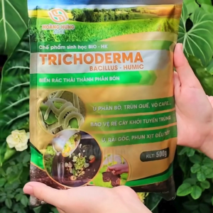 Nấm Đối Kháng Trichoderma GreenHome Bao 500gr Ủ Phân Hữu Cơ Ủ Rác Khử Mùi Hôi Cải Tạo Đất