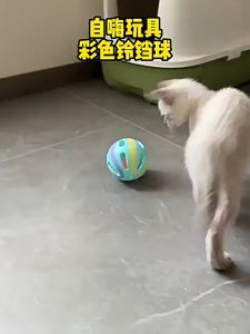 BABYPET 😺 ลูกบอล สายรุ้ง กระดิ่ง กรุ๊งกริ๊ง ของเล่นแมว ลูกกระพรวน ลูกบอลแมว ของเล่นสัตว์เลี้ยง ของเล่นสำหรับนกแก้ว