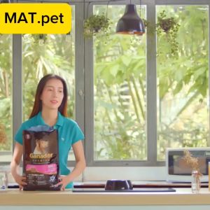 [HỎA TỐC] 10Kg Thức Ăn Hạt Chó Chó Ganador Cung Cấp Nhiều Dinh Dưỡng