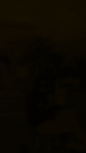 Bubuk Kopi Jahe Kemasan 1 KG Rasa Nikmat Spesial KOPI TURBO