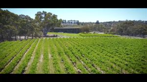 Jacobs Creek Sparkling Chardonnay Pinot Noir 750ml