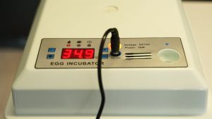 CoralCove ตู้ฟักไข่อัตโนมัติ รุ่น16ฟอง ตู้ฟักไข่ไก่ ตู้ฟักไข่นกกระทา ตู้ฟักไข่ อัตโนมัติ กลับไข่เอง กินไฟน้อย ใช้งานง่าย