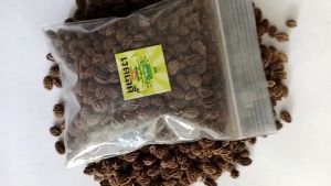 เมล็ดมะละกอเรดเลดี้ ขนาด 10 กรัม