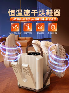 Home Use Shoe Dryer Heater Deodorizer Antibacterial Professional Footwear Care Machine Korean Brand Hanguang Shoe Drying Device