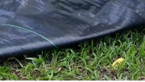 (หนาขึ้น) พลาสติกคลุมวัชพืช ผ้าคลุมหญ้า แผ่นคลุมดิน ผสมUV ฆ่าหญ้ากำจัดหญ้า พลาสติกคลุมดิน อยุ่ทนกว่า3-5ปี