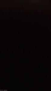 SARUNG BATIK SANTRI DEWASA MOTIF PALAIKAT PALEKAT WADIMOR WAJADA EKSLUSIF