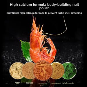 MONLEYTA | Tortoise Food For South Stone Turtle And Money Turtle Species Particle Type Universal Turtle Feed Suitable For Young Turtles