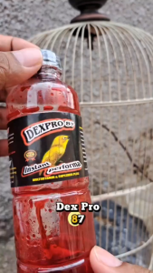 Dexpro 87 Vitamin Suplemen Penggacor 50ml Multivitamin Suplemen Burung