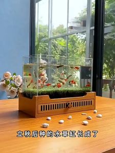 ดินปลูกไม้น้ำ Water Plant Soil น้ำไม่ขุ่น ดินไม่แตก ปลอดภัยต่อสัตว์น้ำ ดินใส่ตู้ปลา ดินปลูกต้นไม้น้ำ ดินคุณภาพดี แต่งตู้ปลา ตู้ไม้น้ำ