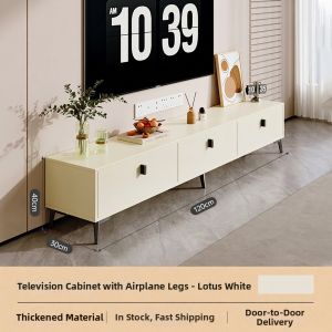 ZHUOHE | Modern Simple Storage TV Stand