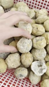 Unopened Natural Agate Geode Raw Crystals Mineral Energy Healing Quartz Rough Stones Crystal Cluster Cave Collection Specimen