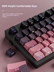 TROVANCO | Gradient Side-Engraved Translucent PBT Keycaps