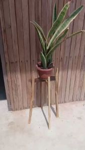 KDAUZ ชั้นทำจากไม้ ชั้นวาง 2 ชั้น ชั้นวางกระบองเพชร สไตส์นอร์ดิก