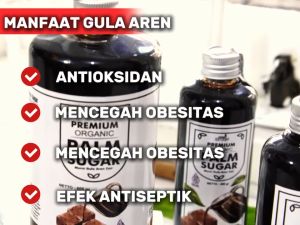 Suur Lemoen - Gula Aren Cair 500gr: Manfaat & Cara Penggunaan