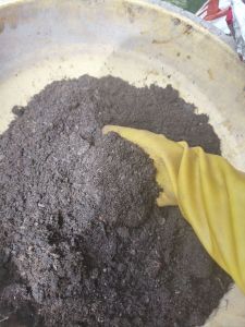 2kg Phân gà nguyên chất hoai mục đã qua xử lý không mùi hôi - phân hữu cơ bón hoa rau màu cây trồng
