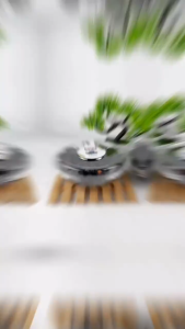 Kurma Ajwa Original AL-Madina I Kurma Nabi