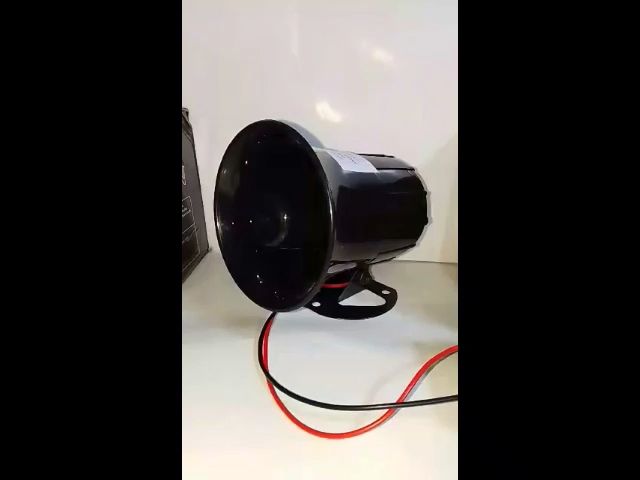BACKHORN • BREAK HORN ⭐LAMBADA ⭐ 12-24V FOR ALL VEHICLES