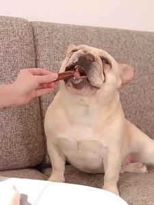 (265g) Dog Dental Grinding Food Pet Snack Pet Treats Mixed Flavor Dog Treats Dog Dental Sticks