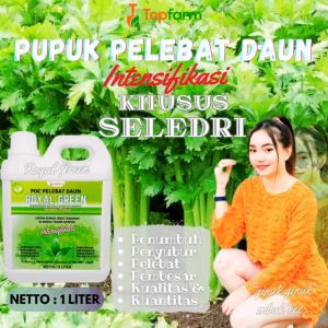Pupuk Booster Seledri / Pupuk Khusus Daun Seledri / Pupuk Daun Terbaik / Pupuk Tanaman Cepat Subur / Pupuk Penyubur Tanaman Seledri / Pupuk Royal Green 1 Liter