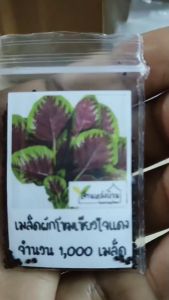 1000 เมล็ด ผักโขมใจแดง เมล็ดผักโขมเรดลิฟ เมล็ดผักขมใจแดง ผักขม ผักโขม เมล็ดผักขม เมล็ดผักโขม