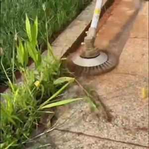 หัวขัดพื้น แปรงลวดถ้วย 6-8นิ้ว หัวแปรงลวด แปรงขัดพื้น ใบค้างหน้า สำหรับใส่เครื่องตัดหญ้า การใช้ใบถากหน้าดิน ใบชุดหน้า หัวตัดหญ้า ใบมีดตัดหญ้า ใบตัดหญ้าแปลงลวด หัวตัดหญ้าลวดเหล็ก