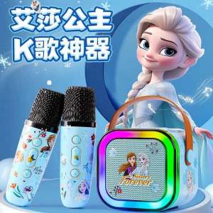 New Elsa Princess Microphone Toy Educational Birthday Gift for Girls Imaginative Play Dollhouse Simulation Toys from Guangdong