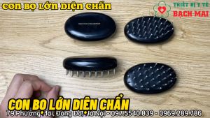 Con Bọ Lớn Diện Chẩn