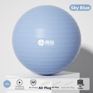 Fitness Ball Sensory Training Pregnancy Support