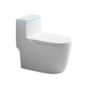 TEM | New Automatic Elderly Friendly Toilet with Tank