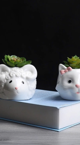 Chậu Trồng Cây Sen Đá Xương Rồng Cây Mini Để Bàn Văn Phòng Có Lỗ Thoát Nước