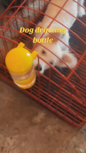 Automatic Cage Hanging Water Dispenser Cat Dog Drinking Bottle 350ml