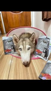 Aozi Pouch 100g Natural Organic Dog Wet Food Dog Essential DR Pet Supplies